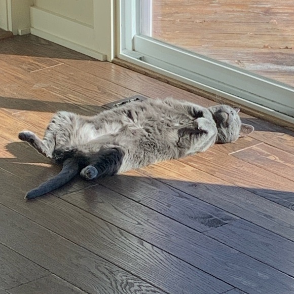 Meet your Posher, Kelly - Picture 7 of 11